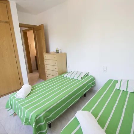 فيلة Cami Del Pinar